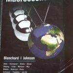 Macroeconomics: Global and South African Perspective