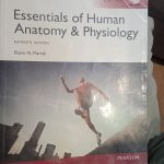 Essentials of Human Anotomy & Physiology, 11th edition, Elaine N Marieb
