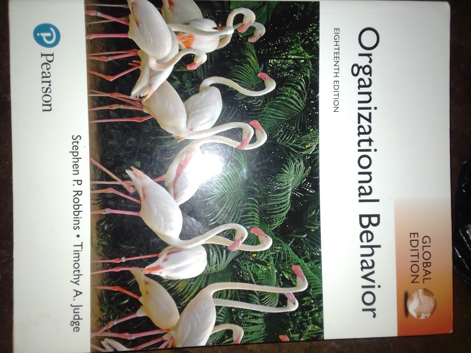 Exif_JPEG_420 Organizational Behaviour