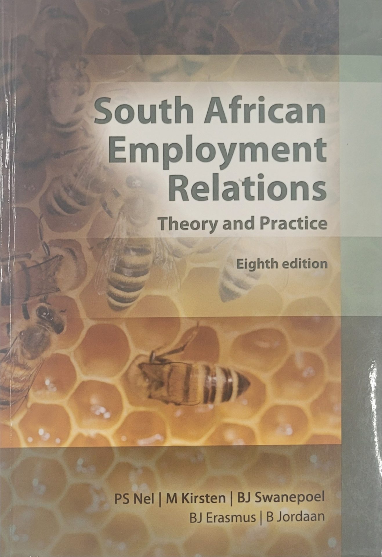 20240815_105957 South African Employment Relations