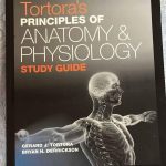 Principles of anatomy and physiology-study guide