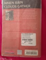 When rain clouds gather - Image 3