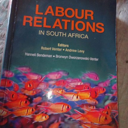 Labour Relations in South Africa 5e (Paperback, 5th Revised edition)