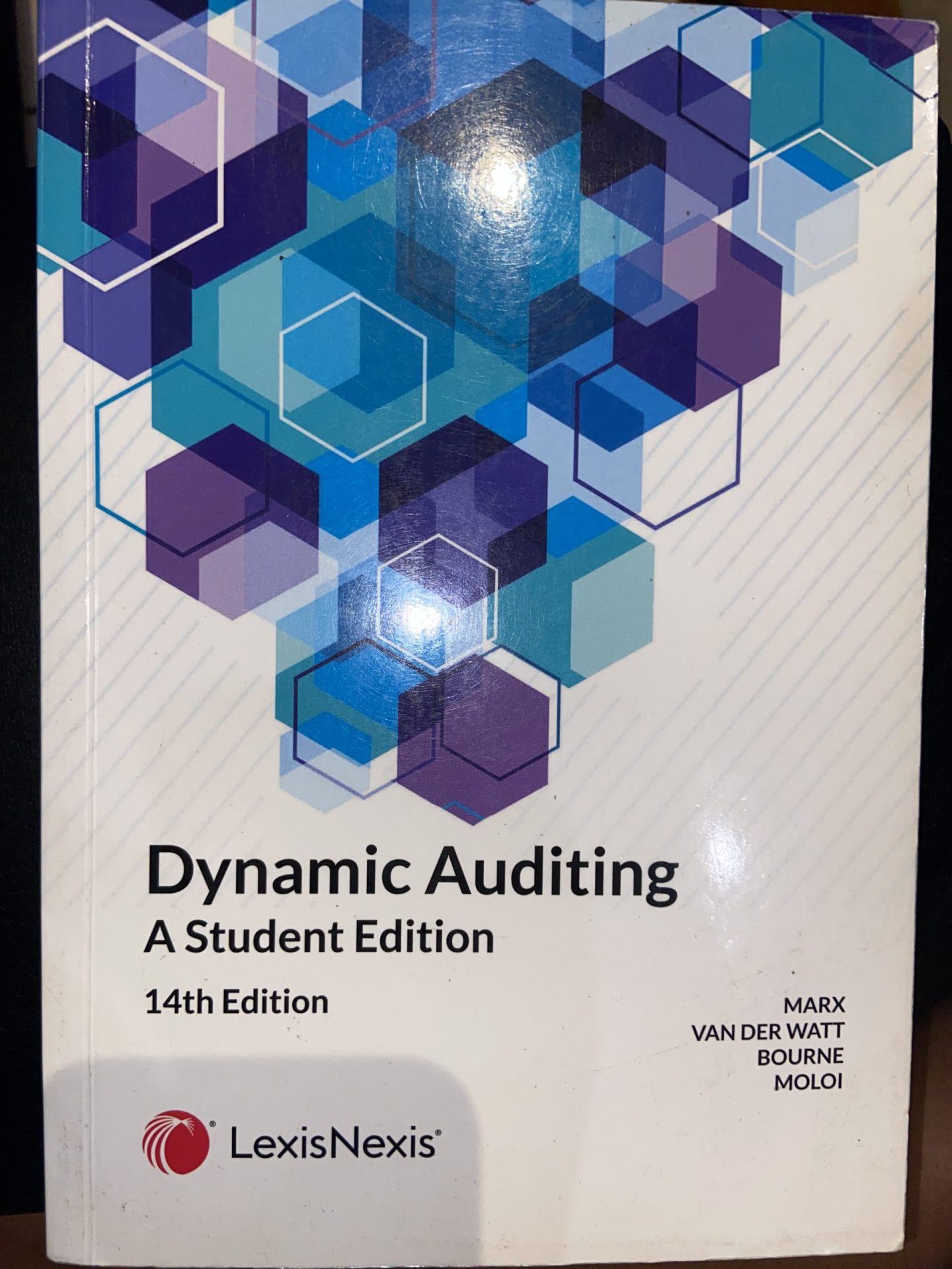 image DYNAMIC AUDITING - A STUDENT EDITION