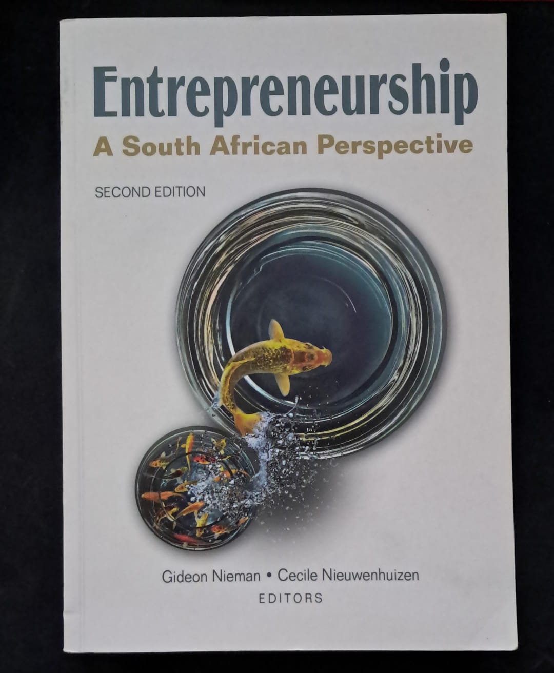Entrepreneurship A South Africa Perspective Entrepreneurship A South Africa Perspective