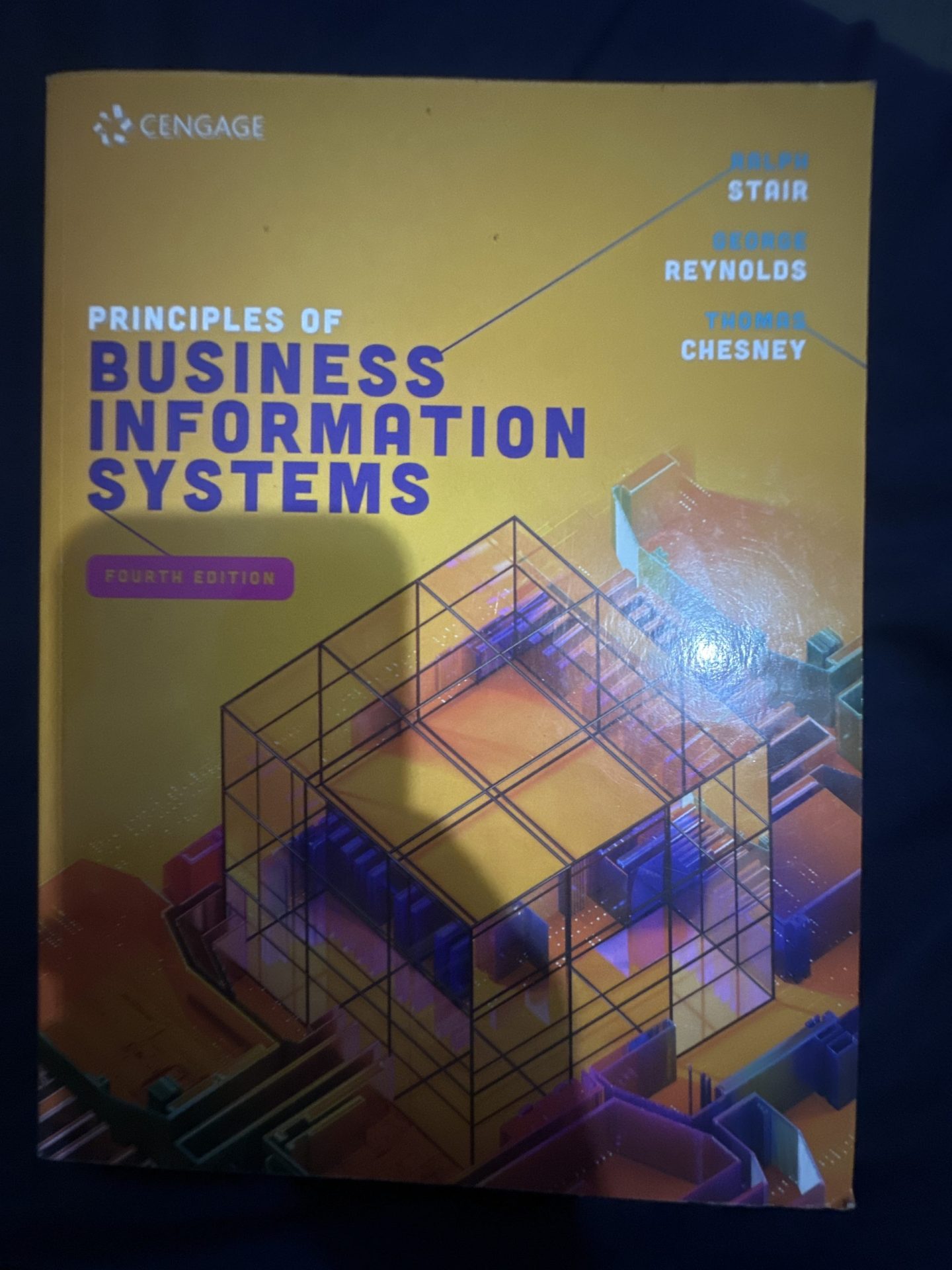 PRINCIPLES OF BUSINESS INFORMATION SYSTEMS FOURTH EDITION PRINCIPLES OF BUSINESS INFORMATION SYSTEMS FOURTH EDITION