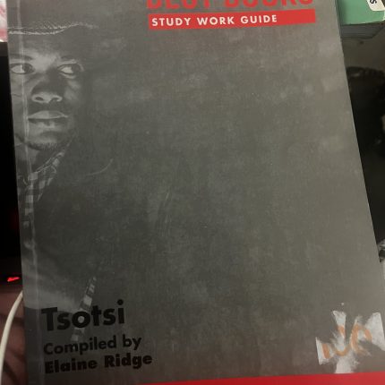 Study Work Guide: Tsotsi Grade 11 Home Language