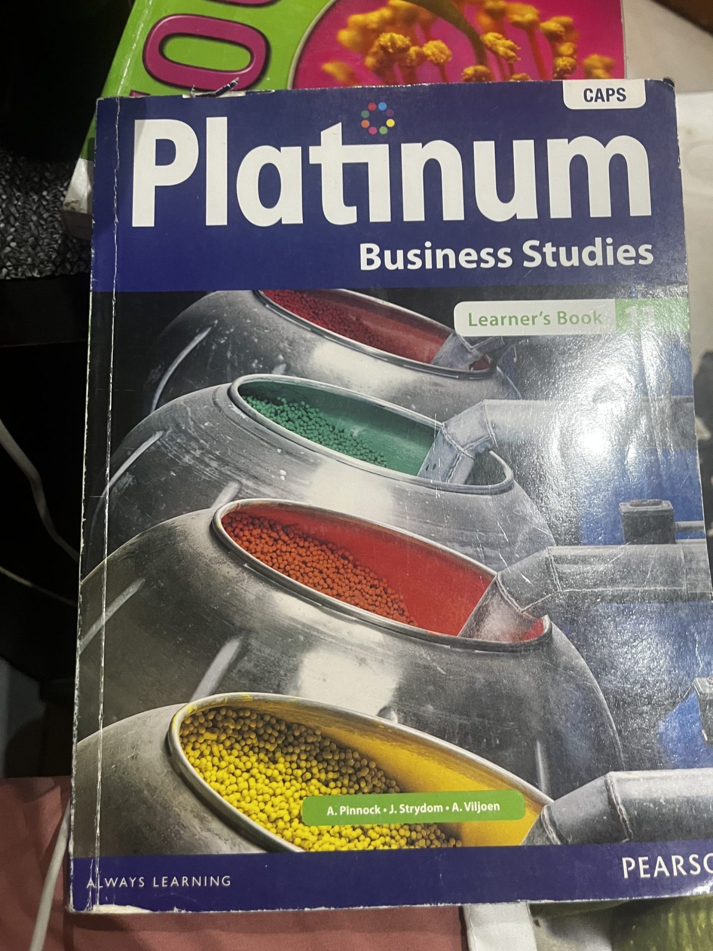 IMG_4772 Platinum Business Studies G11