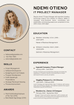 Beige Minimalist CV Template