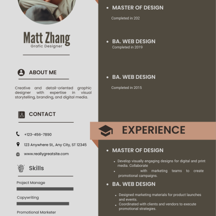 Gray Professional CV Template