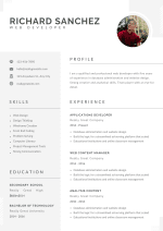 Grey and White CV Template