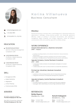 Modern Minimalist CV Template