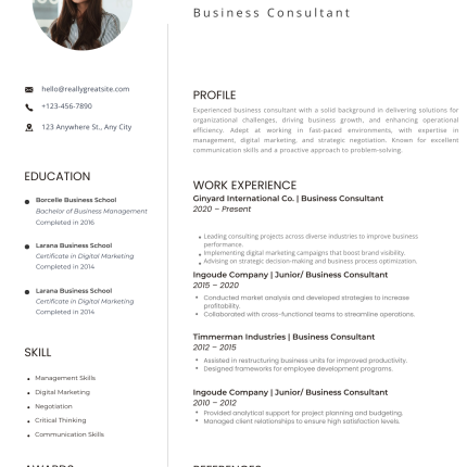 Modern Minimalist CV Template