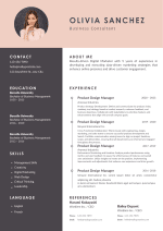 Minimalist Professional CV Template
