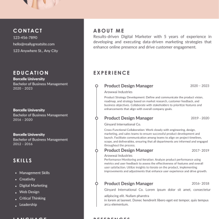 Minimalist Professional CV Template