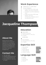 Professional CV Template