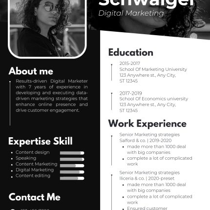 Professional CV Resume Template