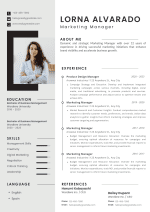 Professional Modern CV Resume Template