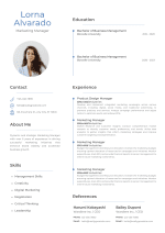 Modern CV Resume Template