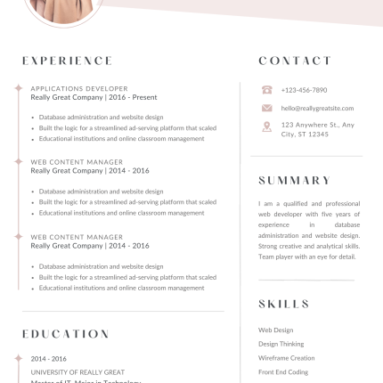 Blush Minimalist CV Template