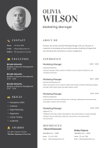 Minimalist Modern CV Template