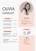 Pink and Grey CV Template