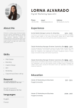 Professional Modern CV Template