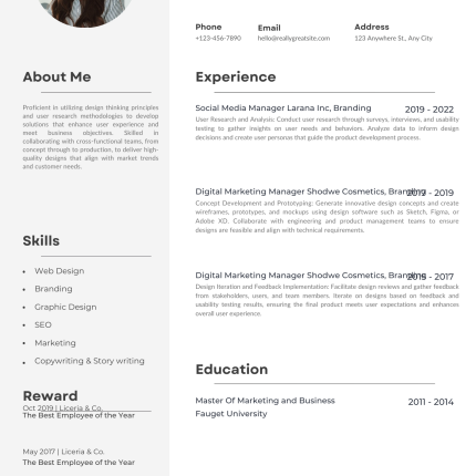 Professional Modern CV Template