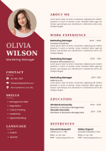 Pink and Maroon CV Template