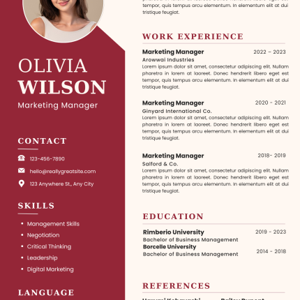 Pink and Maroon CV Template
