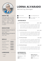 Professional Modern CV Resume