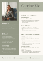 IT Manager CV Template