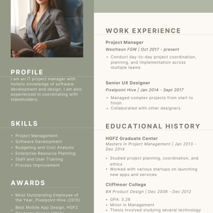 IT Manager CV Template