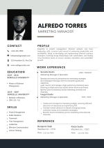 Modern Professional CV Template