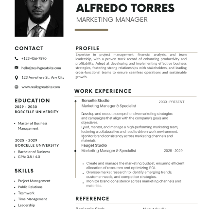 Modern Professional CV Template