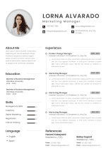 Professional Modern CV Template