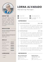 Professional Modern CV Template