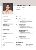 Simple Professional CV Template