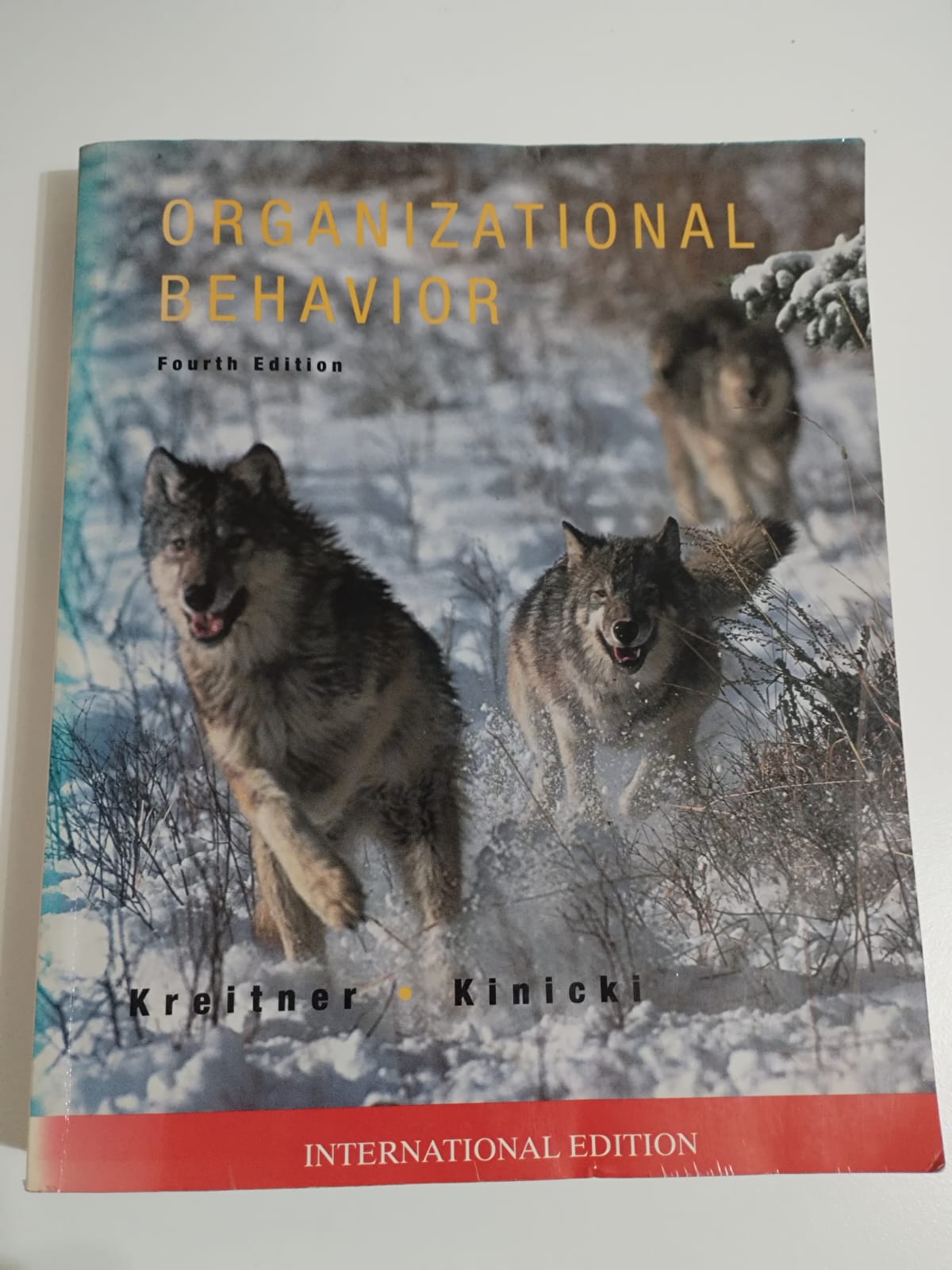 Organizational Behavior Organisational Behavior