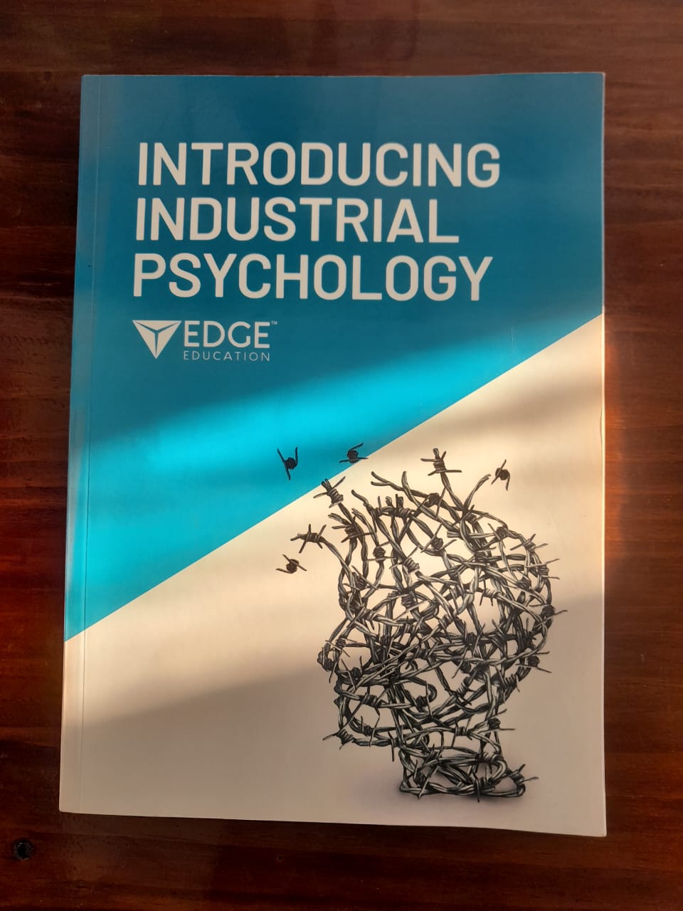 Introducing Industrial Psychology Introducing Industrial Psychology